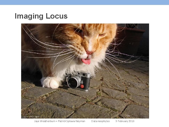 Imaging Locus Jaye Weatherburn + Patrick Splawa-Neyman Data neophytes 9 February 2016 Imaging Locus Jaye Weatherburn + Patrick Splawa-Neyman Data neophytes 9 February 2016