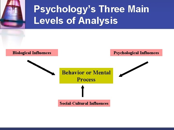 Psychology’s Three Main Levels of Analysis Biological Influences Psychological Influences Behavior or Mental Process