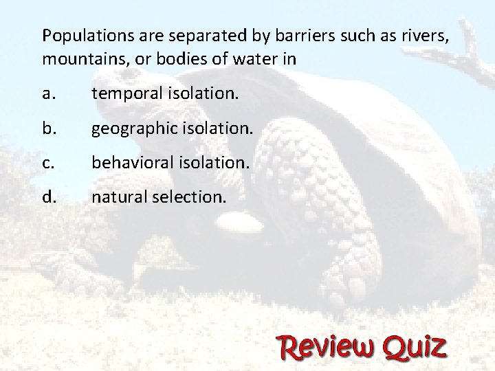 Populations are separated by barriers such as rivers, mountains, or bodies of water in