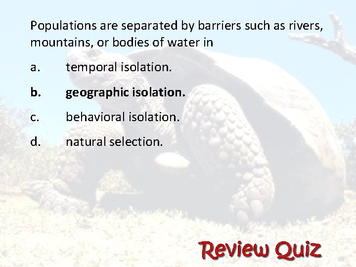 Populations are separated by barriers such as rivers, mountains, or bodies of water in