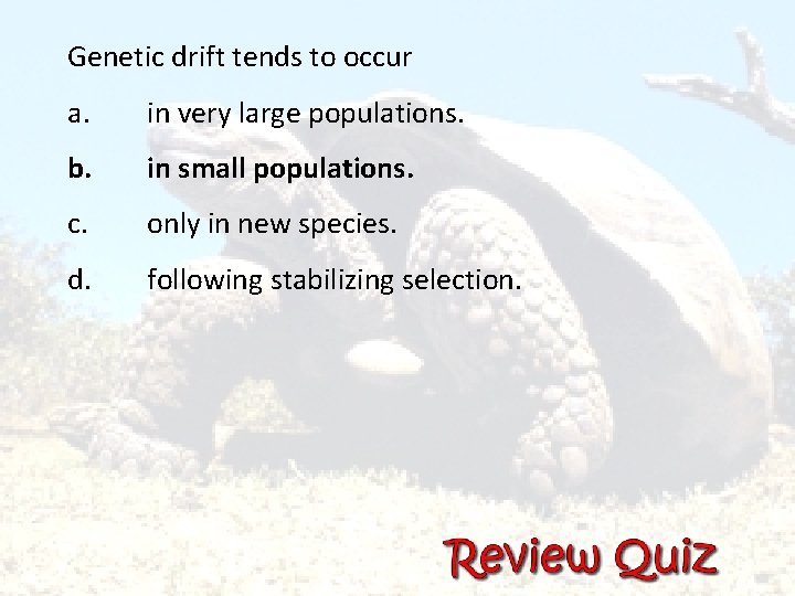 Genetic drift tends to occur a. in very large populations. b. in small populations.