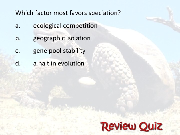 Which factor most favors speciation? a. ecological competition b. geographic isolation c. gene pool