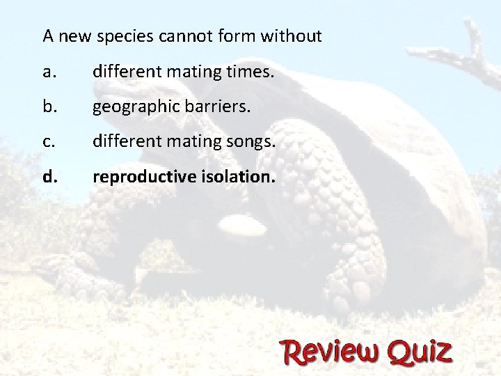 A new species cannot form without a. different mating times. b. geographic barriers. c.