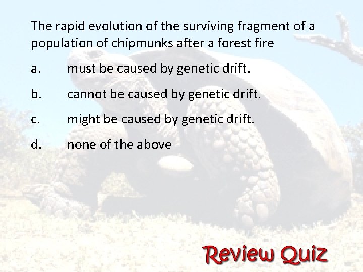 The rapid evolution of the surviving fragment of a population of chipmunks after a