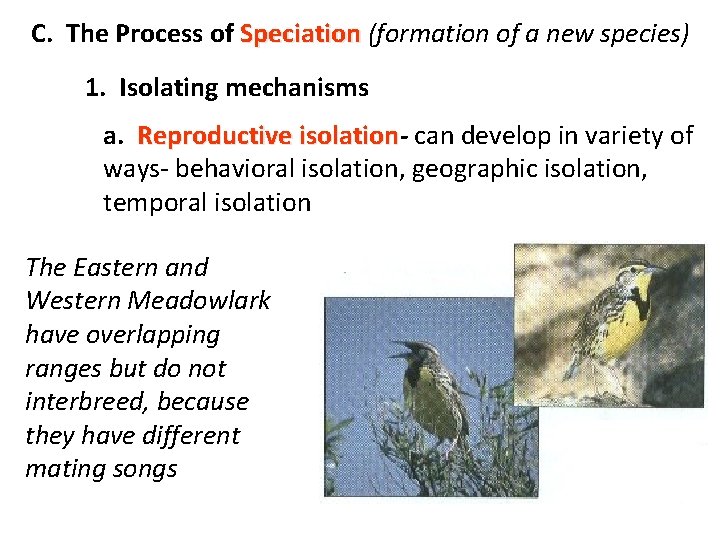C. The Process of Speciation (formation of a new species) 1. Isolating mechanisms a.