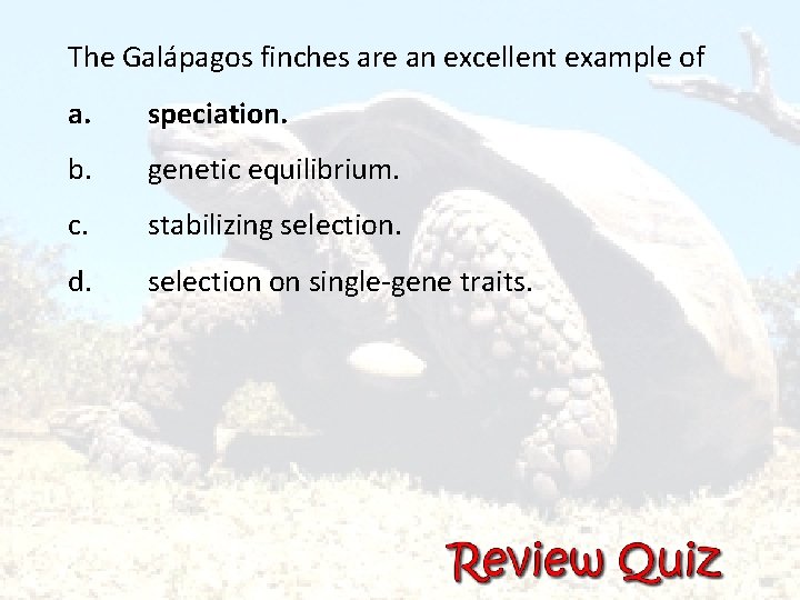 The Galápagos finches are an excellent example of a. speciation. b. genetic equilibrium. c.