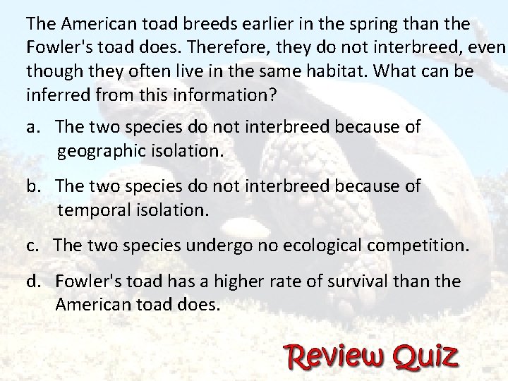 The American toad breeds earlier in the spring than the Fowler's toad does. Therefore,