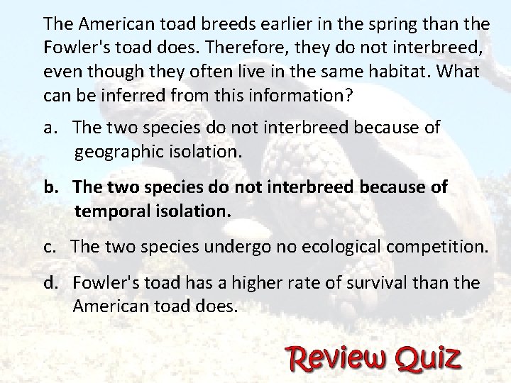 The American toad breeds earlier in the spring than the Fowler's toad does. Therefore,