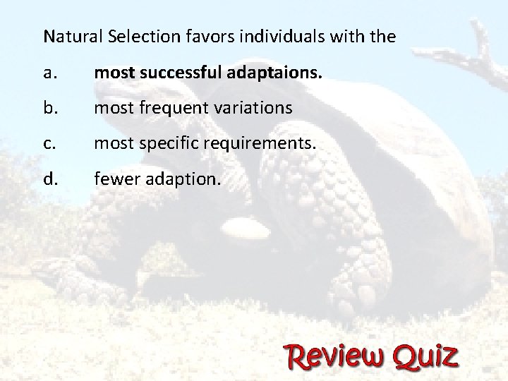 Natural Selection favors individuals with the a. most successful adaptaions. b. most frequent variations