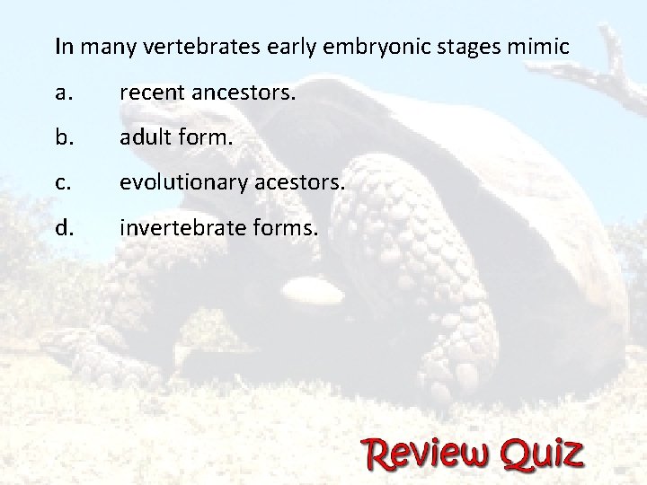 In many vertebrates early embryonic stages mimic a. recent ancestors. b. adult form. c.