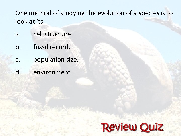 One method of studying the evolution of a species is to look at its