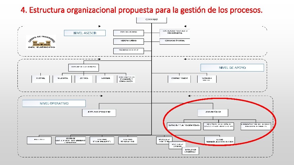 4. Estructura organizacional propuesta para la gestión de los procesos. 