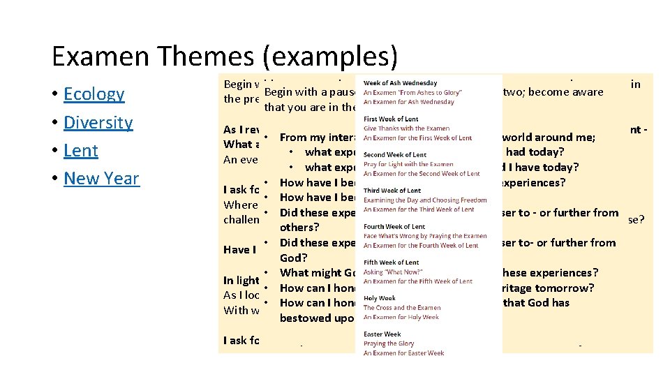 Examen Themes (examples) • Ecology • Diversity • Lent • New Year Ecological Examen