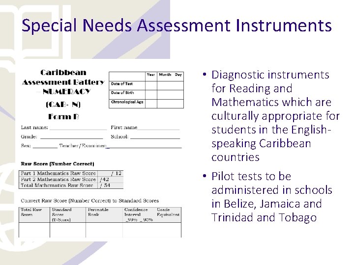 Special Needs Assessment Instruments • Diagnostic instruments for Reading and Mathematics which are culturally
