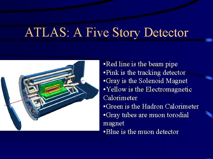 ATLAS: A Five Story Detector • Red line is the beam pipe • Pink