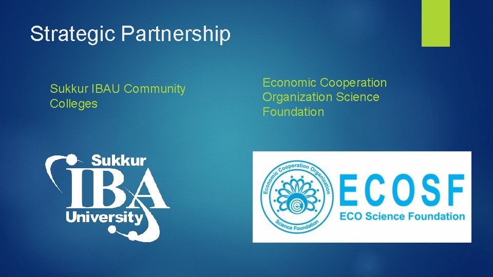 Strategic Partnership Sukkur IBAU Community Colleges Economic Cooperation Organization Science Foundation 