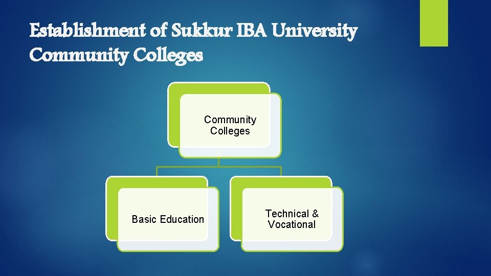 Establishment of Sukkur IBA University Community Colleges Basic Education Technical & Vocational 