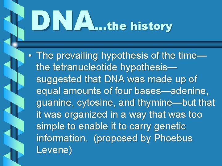 DNA…the history • The prevailing hypothesis of the time— the tetranucleotide hypothesis— suggested that