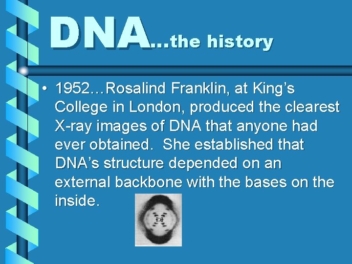 DNA…the history • 1952…Rosalind Franklin, at King’s College in London, produced the clearest X-ray