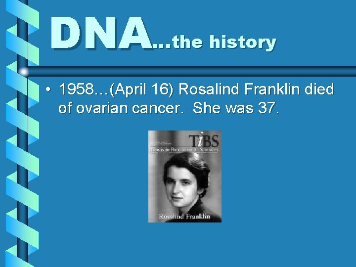 DNA…the history • 1958…(April 16) Rosalind Franklin died of ovarian cancer. She was 37.
