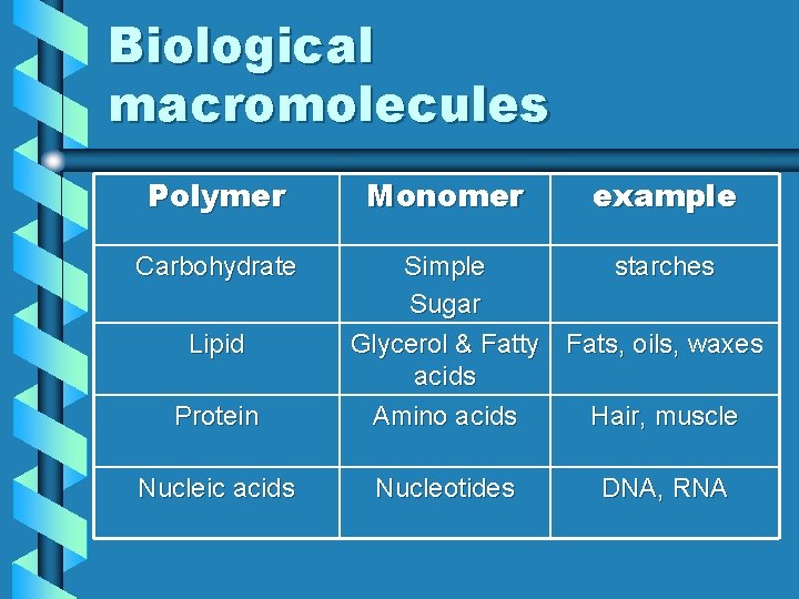 Biological macromolecules Polymer Carbohydrate Lipid Protein Nucleic acids Monomer example Simple starches Sugar Glycerol