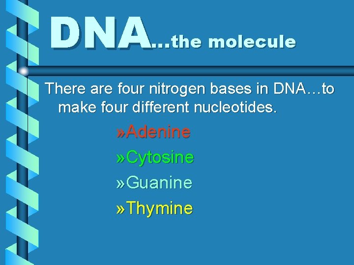 DNA…the molecule There are four nitrogen bases in DNA…to make four different nucleotides. »