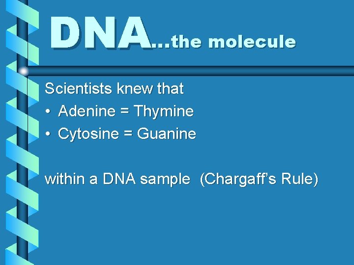 DNA…the molecule Scientists knew that • Adenine = Thymine • Cytosine = Guanine within