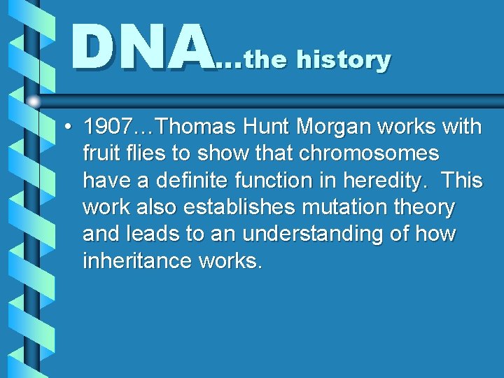 DNA…the history • 1907…Thomas Hunt Morgan works with fruit flies to show that chromosomes
