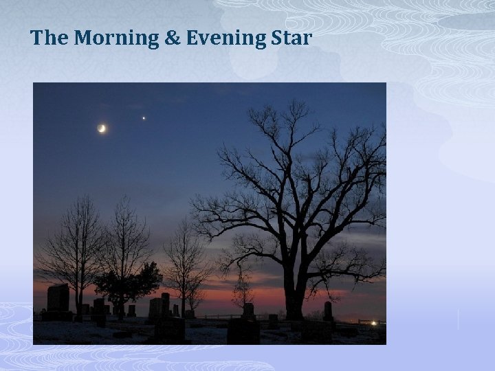 The Morning & Evening Star 