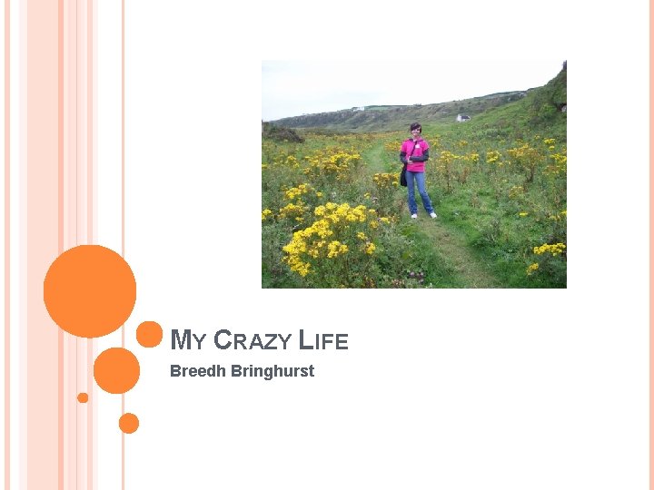 MY CRAZY LIFE Breedh Bringhurst 