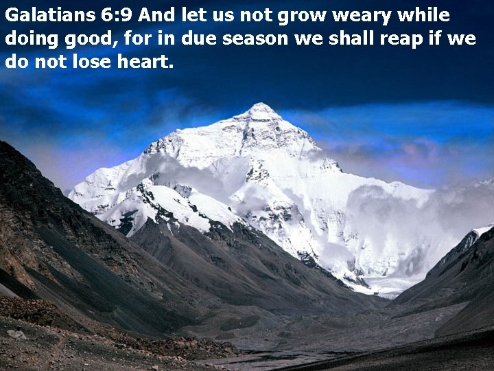 Galatians 6: 9 And let us not grow weary while doing good, for in