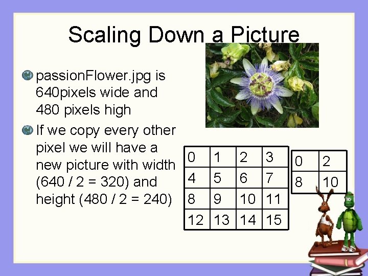 Scaling Down a Picture passion. Flower. jpg is 640 pixels wide and 480 pixels