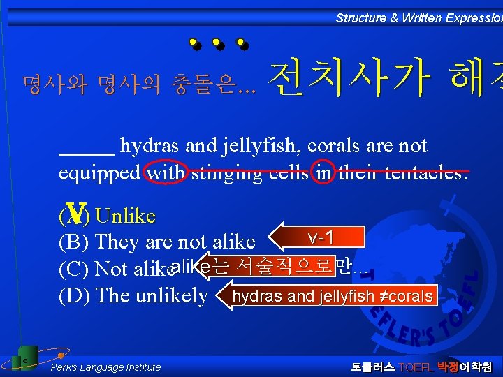 Structure & Written Expression 명사와 명사의 충돌은. . . 전치사가 해결 hydras and jellyfish,