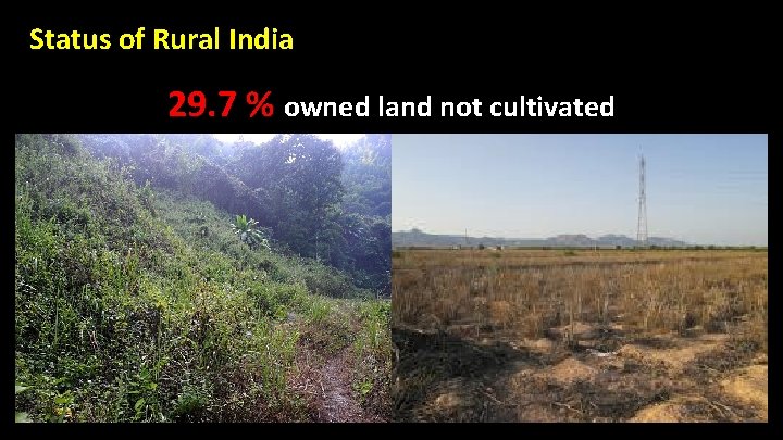 Status of Rural India 29. 7 % owned land not cultivated 