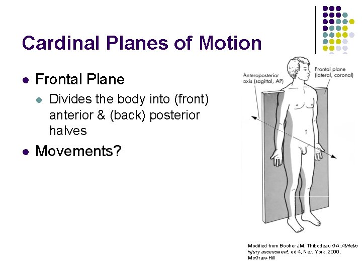 Cardinal Planes of Motion l Frontal Plane l l Divides the body into (front)