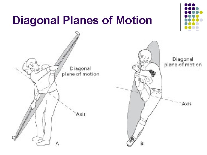 Diagonal Planes of Motion 