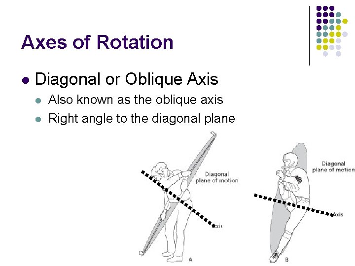 Axes of Rotation l Diagonal or Oblique Axis l l Also known as the