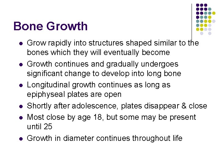 Bone Growth l l l Grow rapidly into structures shaped similar to the bones