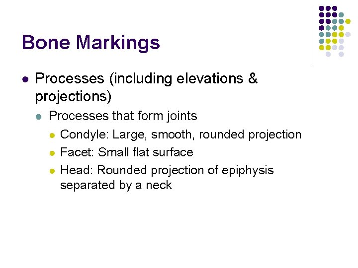 Bone Markings l Processes (including elevations & projections) l Processes that form joints l