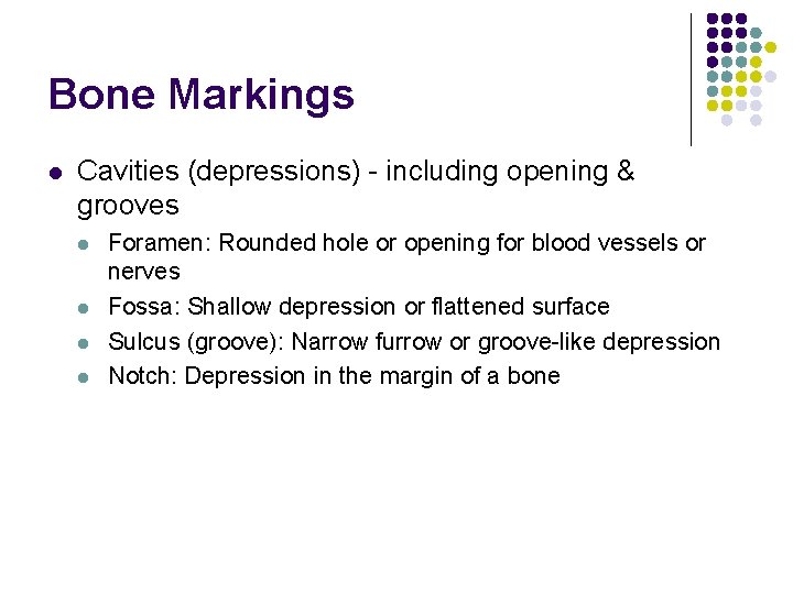 Bone Markings l Cavities (depressions) - including opening & grooves l l Foramen: Rounded