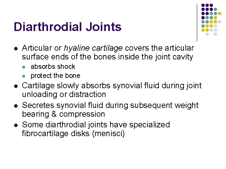 Diarthrodial Joints l Articular or hyaline cartilage covers the articular surface ends of the