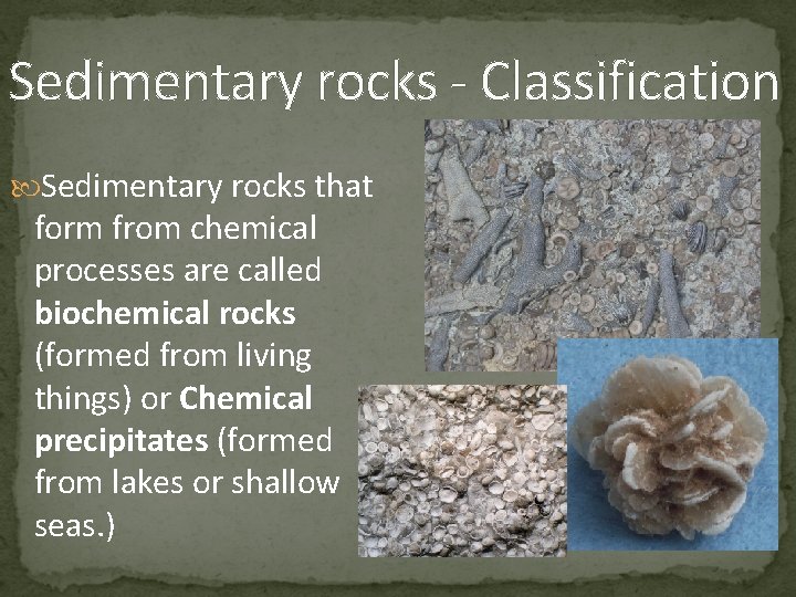 Sedimentary rocks - Classification Sedimentary rocks that form from chemical processes are called biochemical