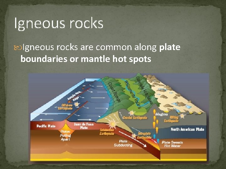 Igneous rocks are common along plate boundaries or mantle hot spots 