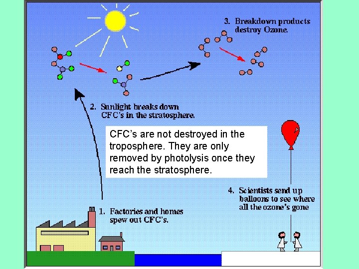 CFC’s are not destroyed in the troposphere. They are only removed by photolysis once