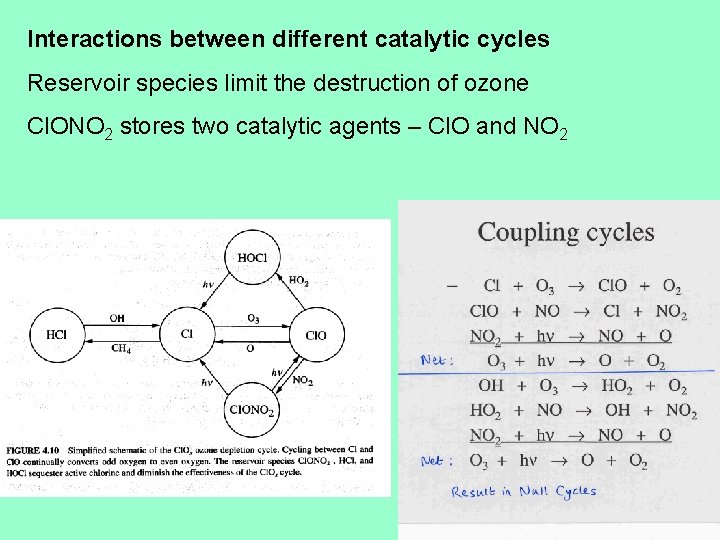 Interactions between different catalytic cycles Reservoir species limit the destruction of ozone Cl. ONO