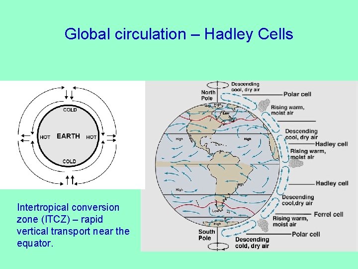 Global circulation – Hadley Cells Intertropical conversion zone (ITCZ) – rapid vertical transport near