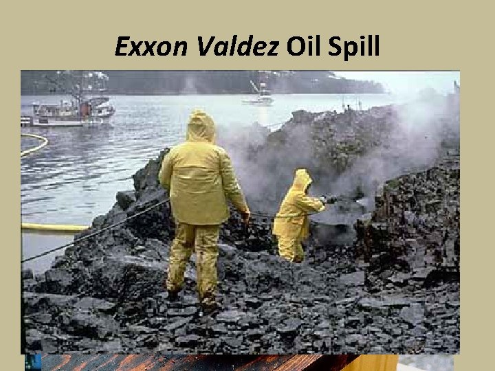 Exxon Valdez Oil Spill • Occurred in Prince William Sound, Alaska, on March 24,