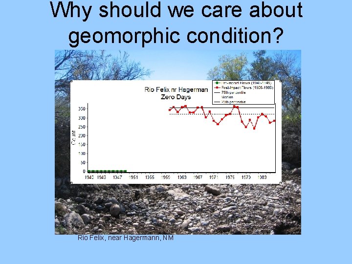 Why should we care about geomorphic condition? Rio Felix, near Hagermann, NM 