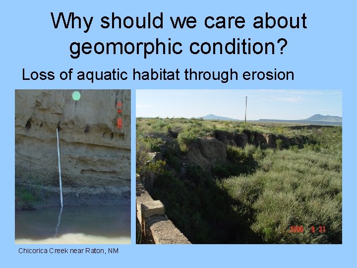 Why should we care about geomorphic condition? Loss of aquatic habitat through erosion Chicorica