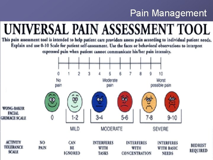 Pain Management Pain Management